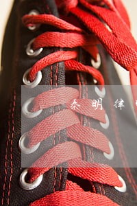 秦明律师 房地产 秦明律师 房地产